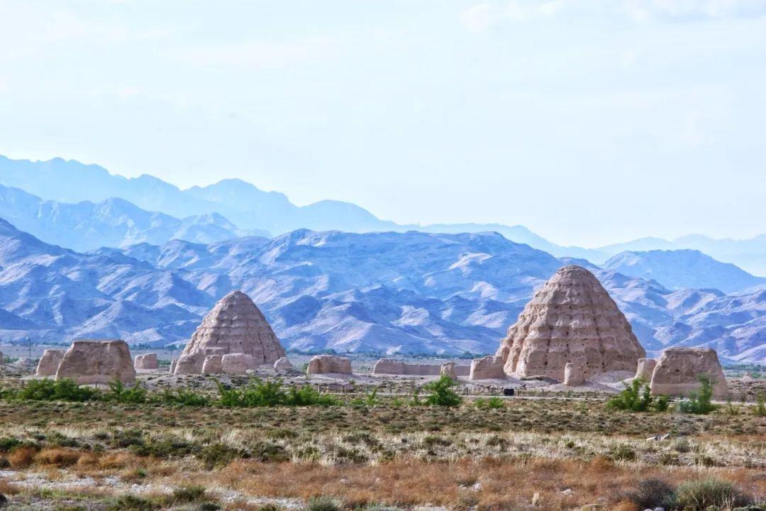 宁夏深度技能攻略,从入门到精通,解锁宁夏特色技艺